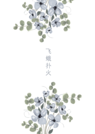 飞蛾扑火小说wingying